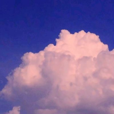 英雄联盟外围平台网址下载手机版