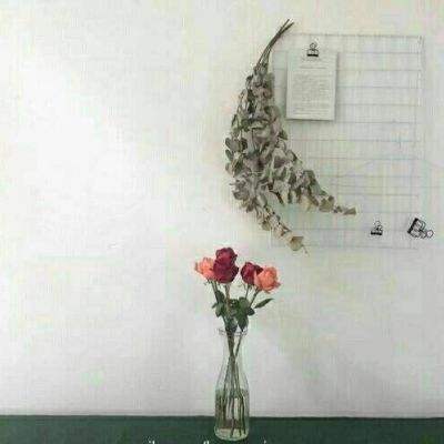 赛博体育app下载