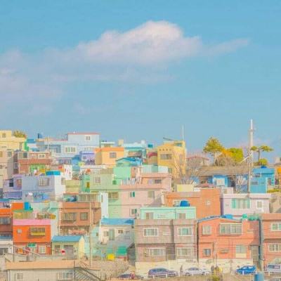 帝一娱乐下载手机版